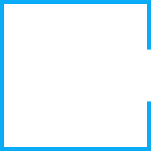 Logo (weißer Text) | Internationaler IT-Projektmanager | Würth Consulting